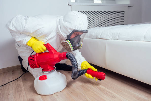 Best Best Pest Control Companies  in Coronado, CA
