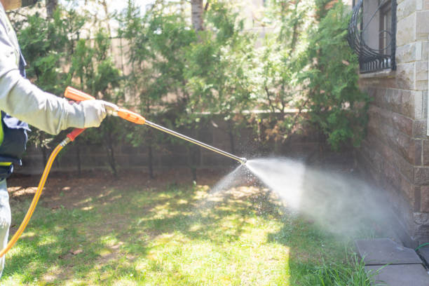 Pest Prevention Services in Coronado, CA